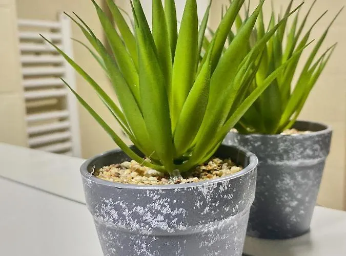 Apartment Stylish Apartment, Centre - Private Parking - Panoramic Views *